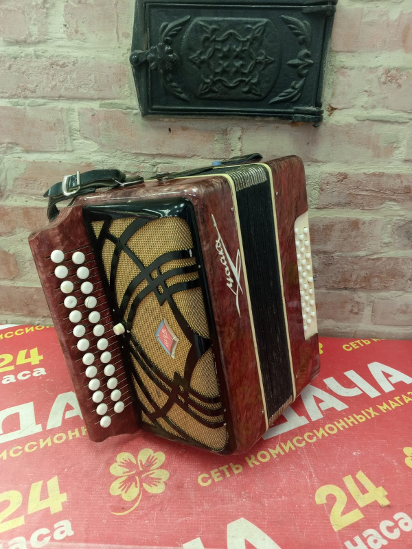 Баян Чайка 1