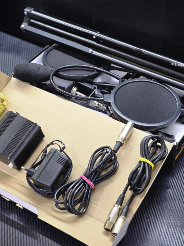 Музыкальный центр Legendary Digital Condenser microphone