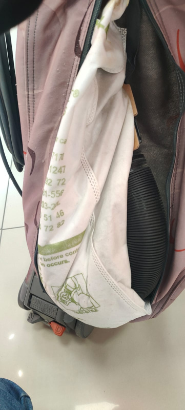 Пылесос Kirby Sentria G10E