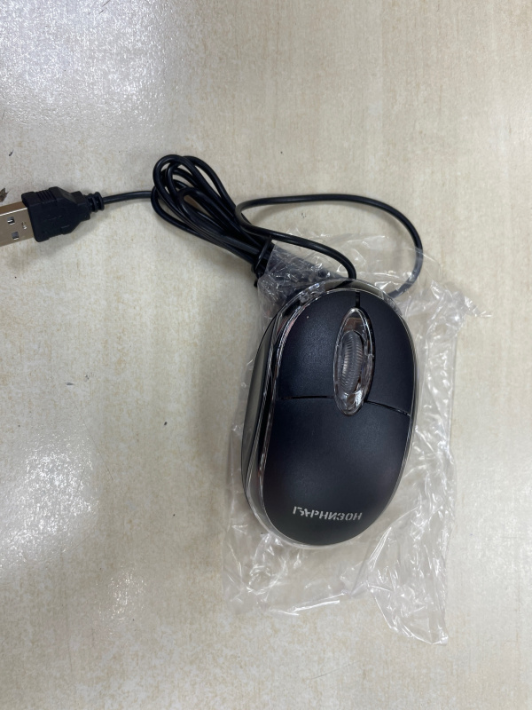 Мышь Гарнизон .