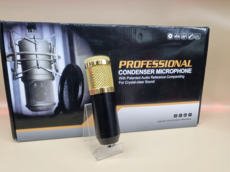 Микрофон Professional Condenser