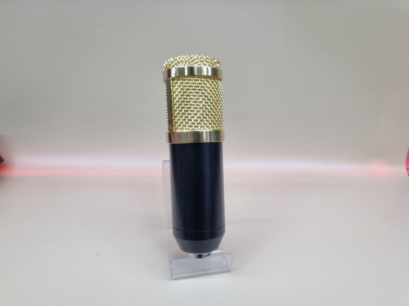 Микрофон Professional Condenser